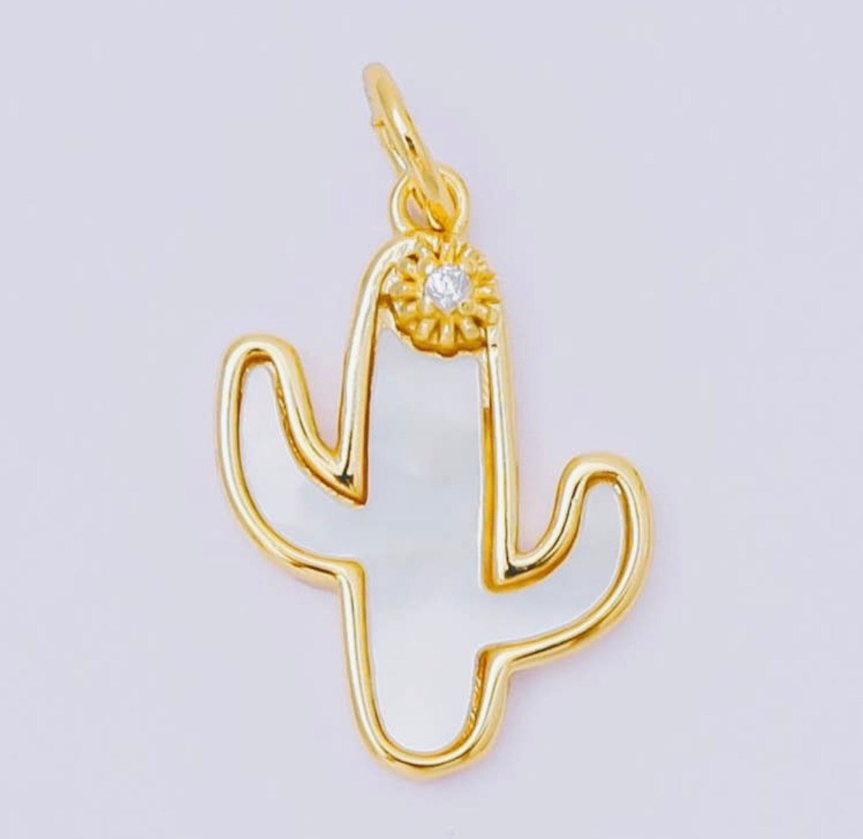 Cactus Charm