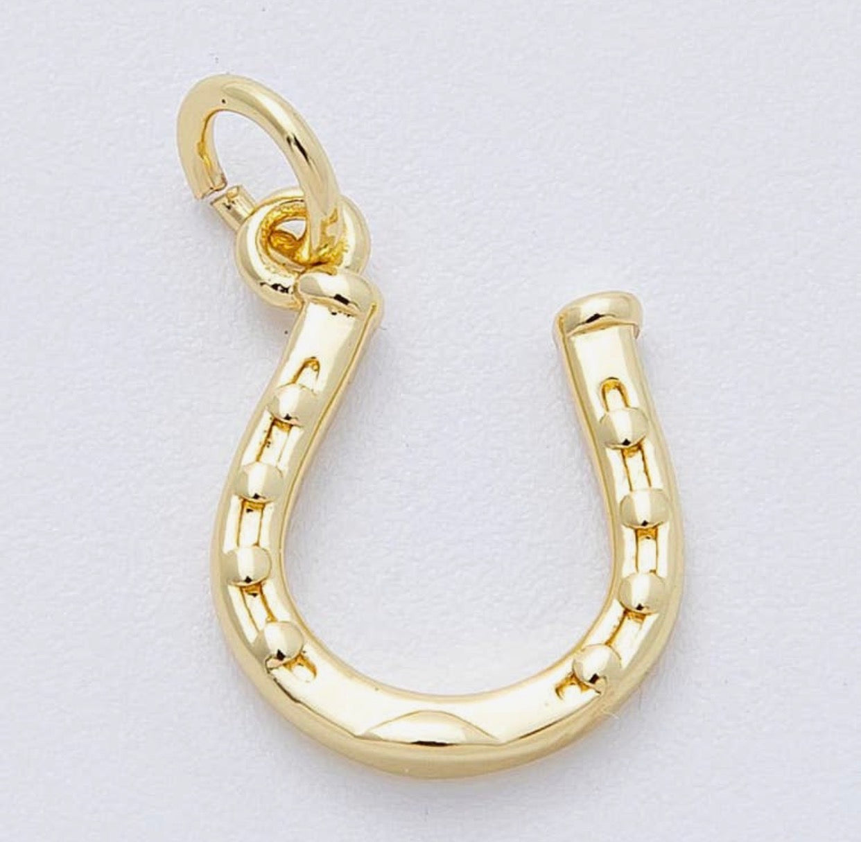 Horseshoe Charm