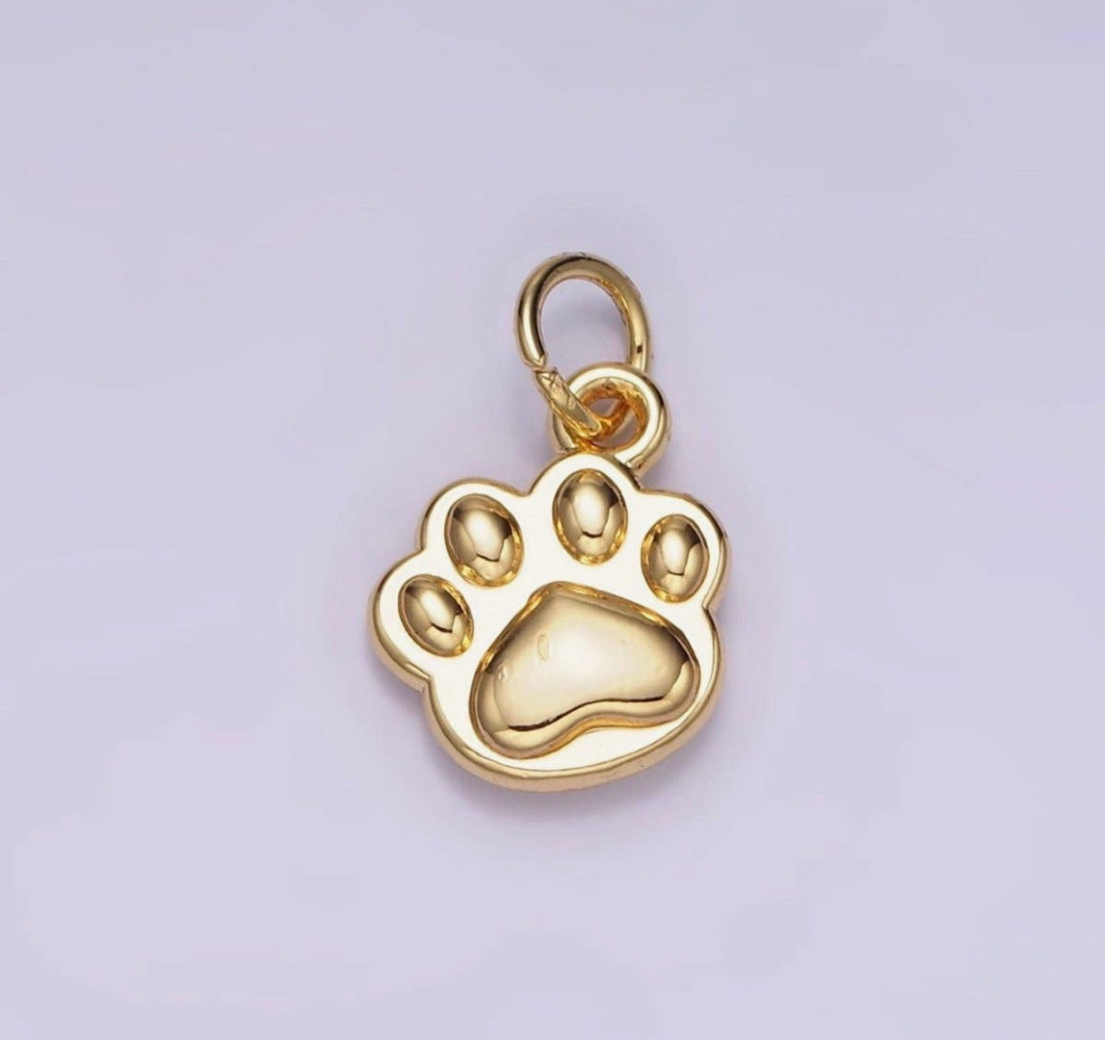 Pawprint Charm